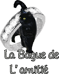 la bague de l'amitié